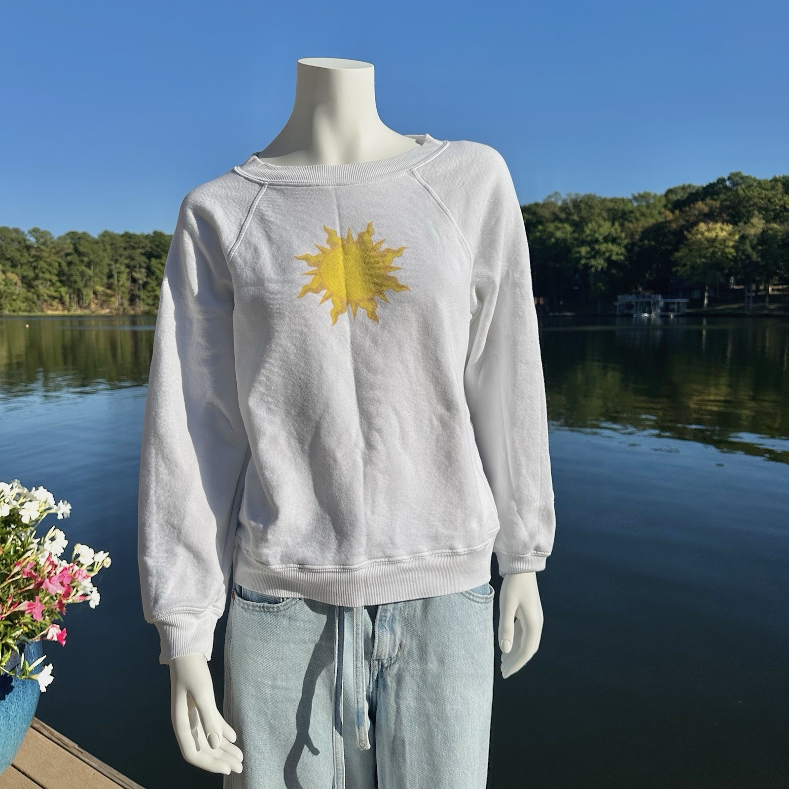 Wildfox Sunny Disposition Sweatshirt  • size Small
