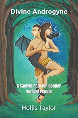 Divine Androgyne: A Sacred Path - Paperback, by Taylor Mx. Hollis; - Very Good
