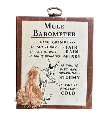 Vintage Mule Barometer Silly Sign Cornwall Wood Products Made In Maine