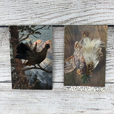 VTG VINTAGE  POSTCARD PHEASANT?  ACCENTED WITH  REAL FEATHERS BIRD LOT OF 2