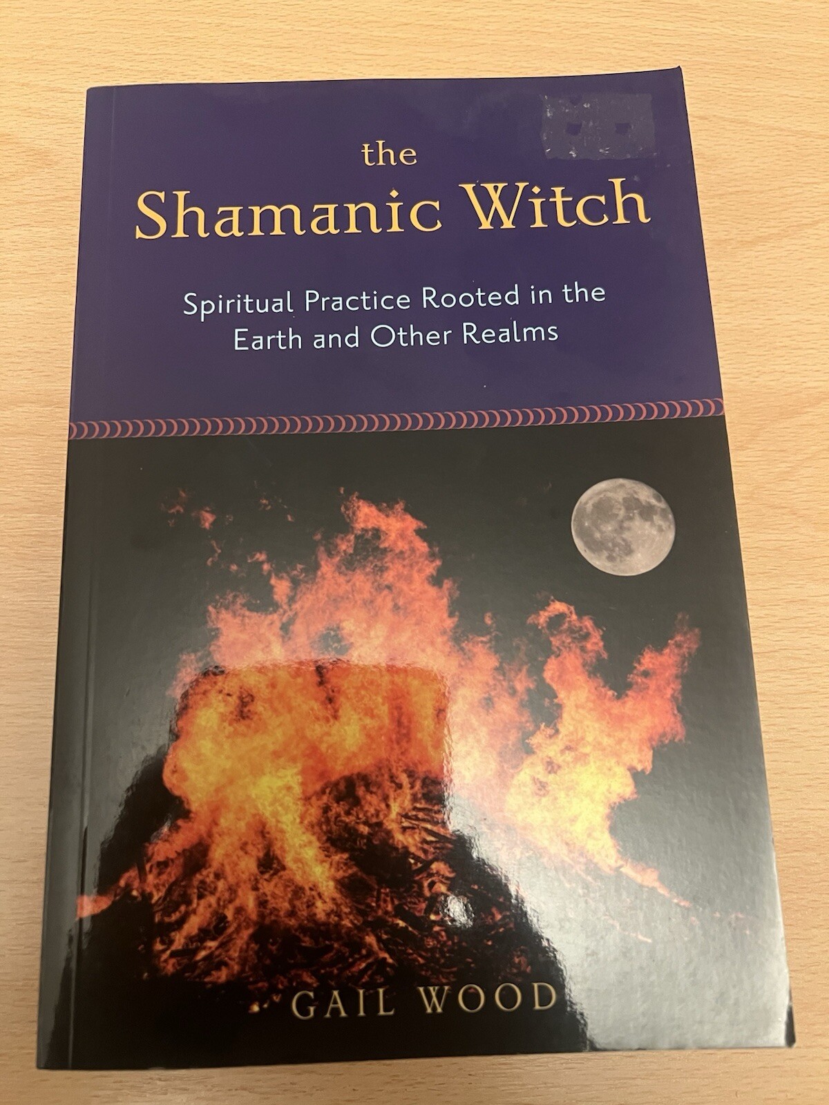 Shamanic Witch: Spiritual Practice Rooted in the Earth and Other Realms by Gail
