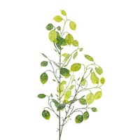 artplants Deko Zweig Silberblatt Drulmi, GrüN, 75Cm