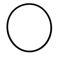 F. Dick 907190052 Rubber Gasket (ORing)