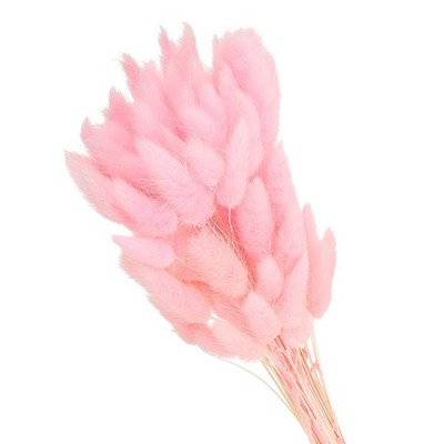 Für Bunny Tails 15,7 cm Trockenblumen, 80 Stück Pampa Dekor Kaninchenschwanz rosa
