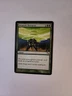 Dramatic Entrance - Shadowmoor (111) mtg Magic the Gathering - NM