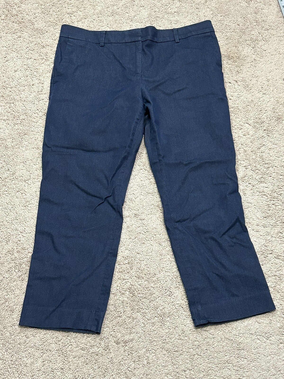 Ann Taylor Womens Pants Petite Size 10 Blue Tapered Leg Classic Ankle Pant