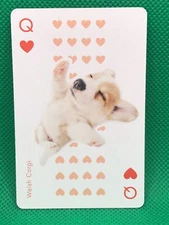 Welsh Corgi Heart Q THE DOG Playing card  Artlist Collection Japan