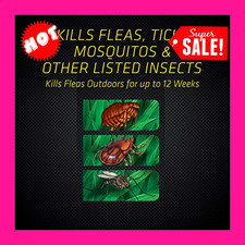 black flag flea and tick yard treatment