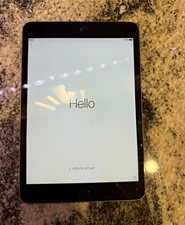Apple iPad mini Series iPad mini 16GB 7.9 in Wi  Fi iOS Tablet - Gray