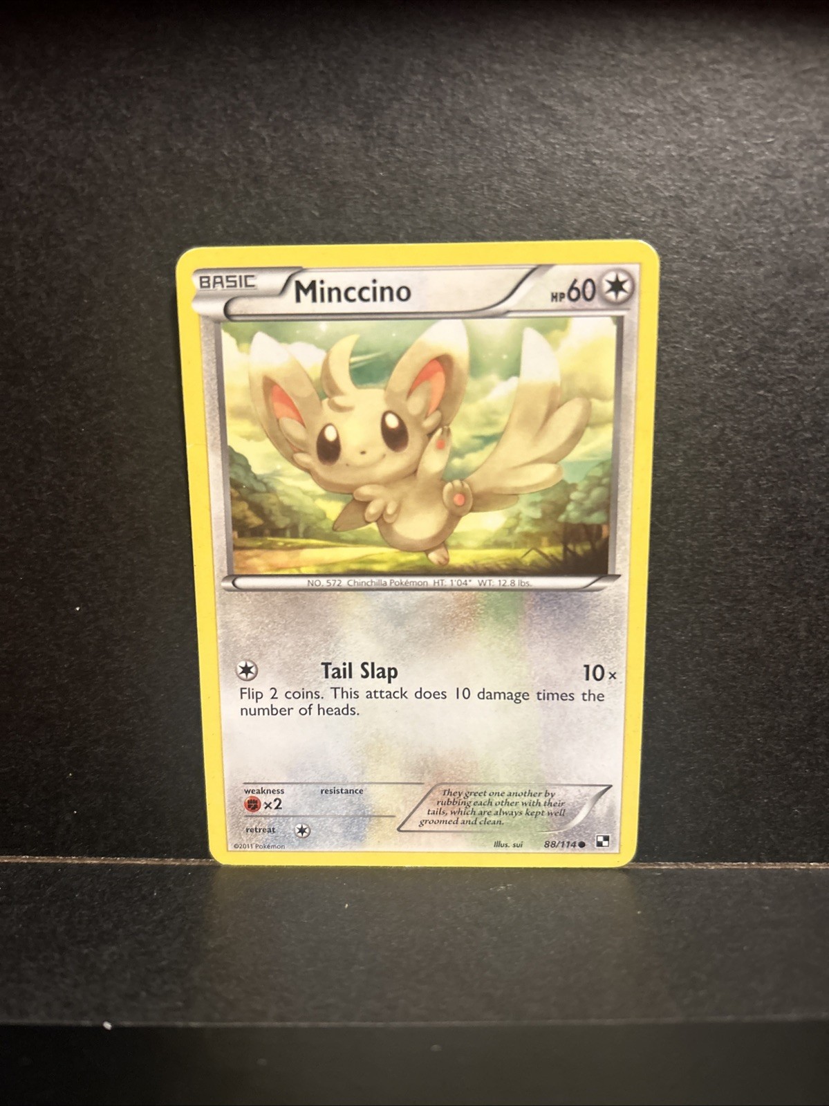Minccino 88/114 - Regular - Black & White - Pokemon TCG