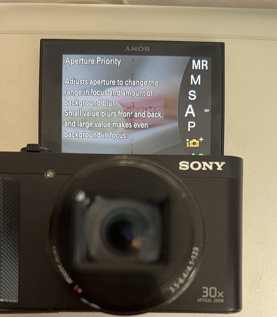 sony dsc hx 80 cybershot digital camera | eBay