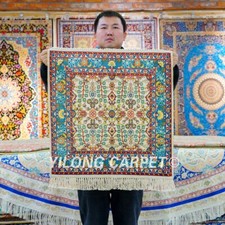 2x2ft Square Handmade Tapestry hand-knotted Silk Carpet House Area Rug TJ873A