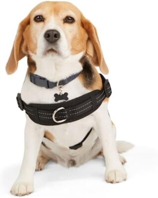 EveryYay Black Easy On Training Dog Harness X-Small Petco