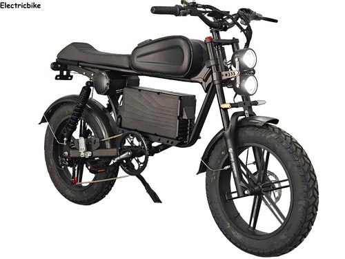 20" Electric bike 48V 20AH Mountain Bike Hydraulic Brakes Black Warrior E-bike - Picture 3 of 14