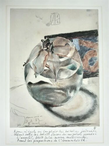 Signierte Horst Janssen Kunstdrucke