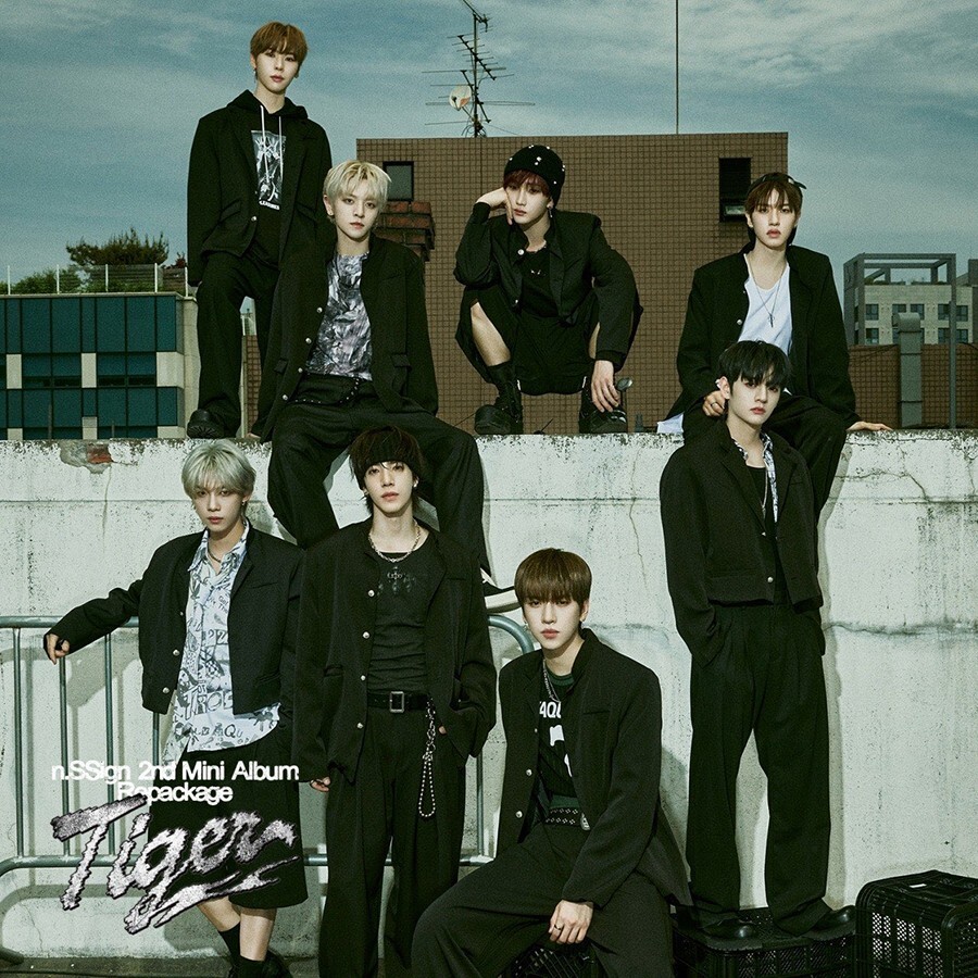 N.SSIGN TIGER Album LIMITED EDITION 2 Ver SET/2CD+2 Book+2Poster+2