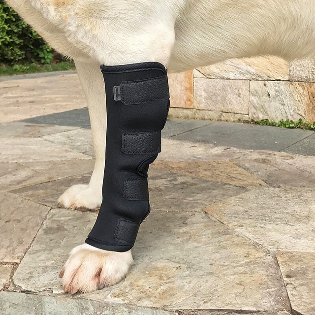 Pet Dog Knee Hock Brace Bandage Straps For Dog Leg Hock Joint