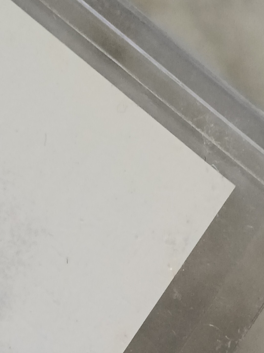 Picture 3 of 6