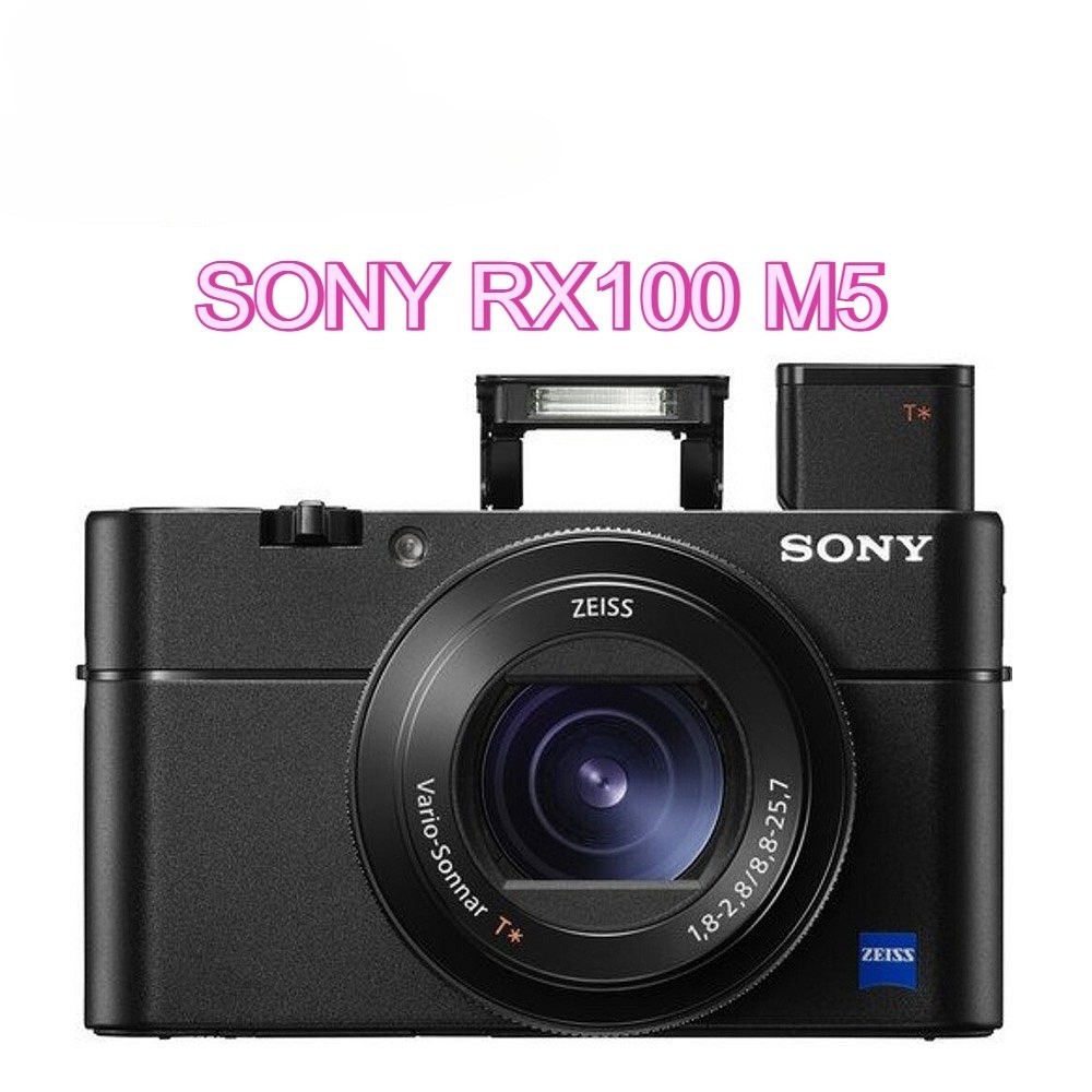 Sony Cyber-shot RX100 V RX100M5 20.1 MP Digital Camera w/ Flip