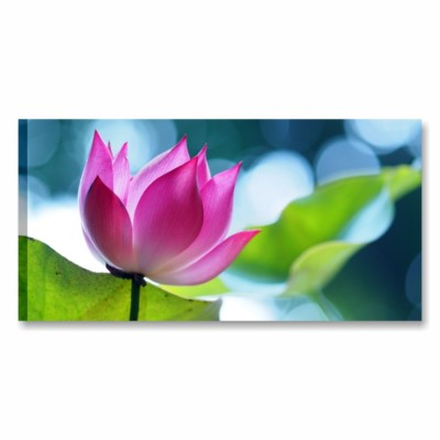 Lotus 3 - MODERNE BILDER 90x45 MÖBEL HAUS SPA GEMÄLDE DRUCKE LEINWAND BLUMEN ZEN LOTUS