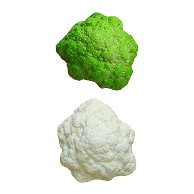 Premium Plastic Vegetable Models Accessory Ideal For Advertising And Education