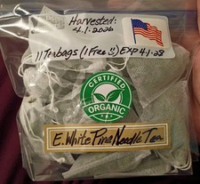 10 Pc LOT:Buy 3 Get 1 FREE Organic Eastern White Pine Needle Tea Bags Fresh Bag