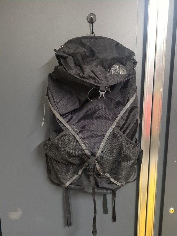 The North Face Diad Pro 22