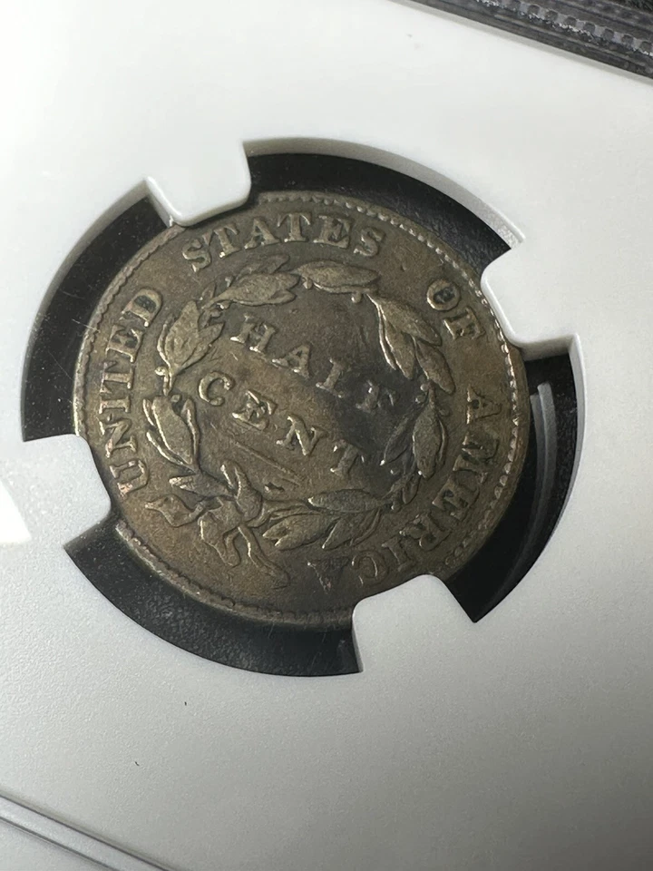 1826 classic head half cent NGC Vf20 BN - Image 4 of 4