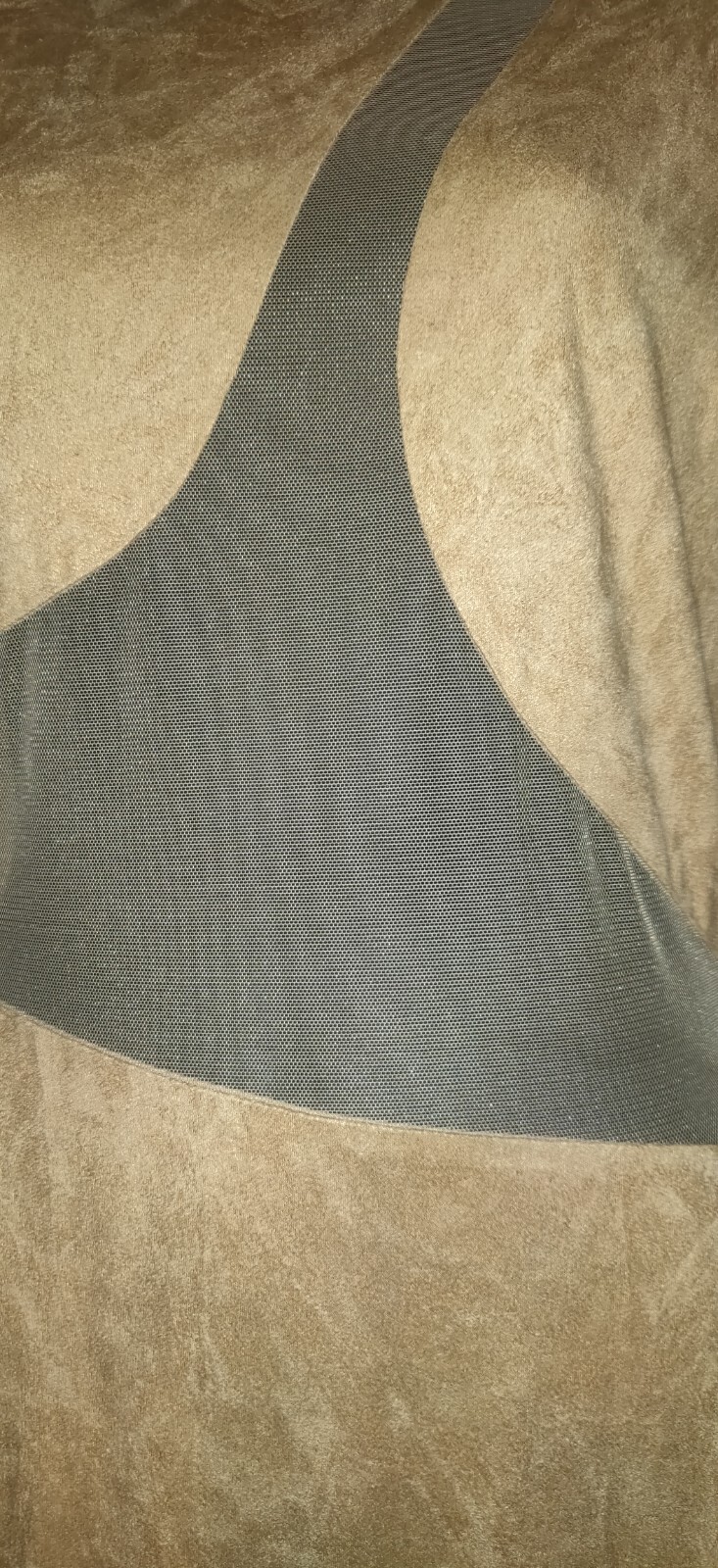 Picture 7 of 15