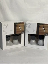 Project 62 Pendant Lights 2 Pack Led Indoor Outdoor Battery Operated.
