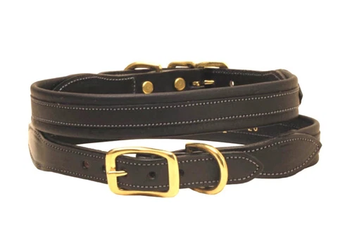 Tory Leather Overlay Padded 1" Leather Dog Collar English Bridle Leather Black