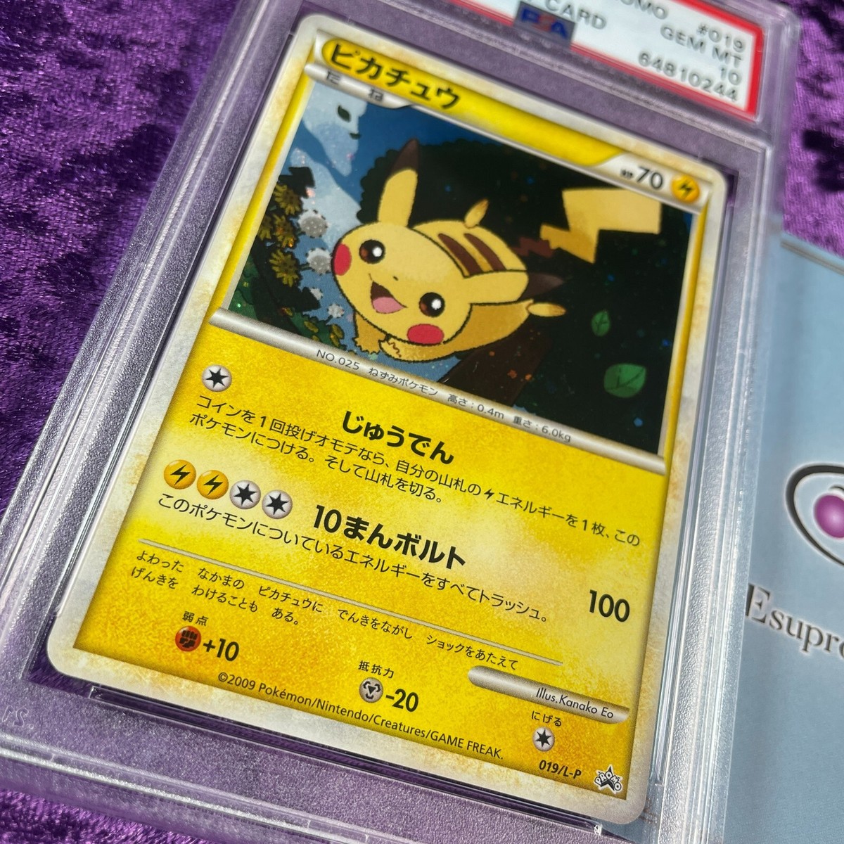 デオキシス　lv.50　psa10 PSA 10 Dusknoir 071/185 Halloween 2023 Trick or Trade Holo