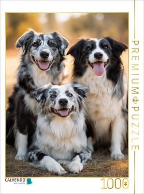 CALVENDO Puzzle Familie ist alles | 1000 Teile Lege-Größe 64x48cm Foto-Puzzle fü