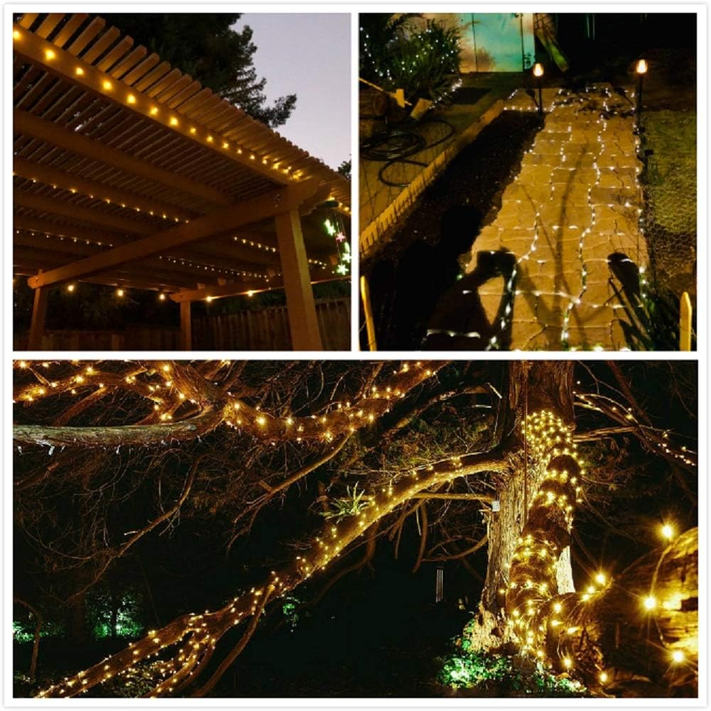 Picture 9 of 9