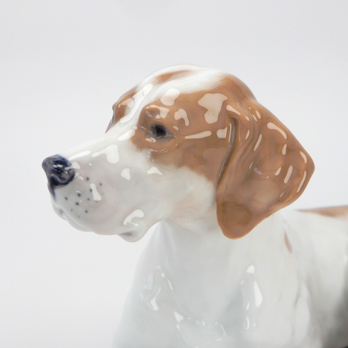 Royal Copenhagen Porcelain Figurine. Pointer. Model Number 1635. Head Up. - Picture 6 of 16