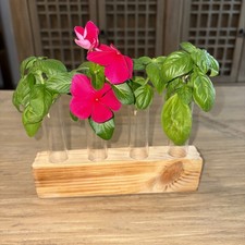 PROPAGATION STATION for Plant Cuttings Glass Planters Wooden Stand 5.5 Inches H