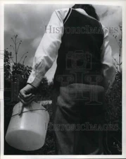 1977 Press Photo Berry picker always carries a pail. - hpa03936
