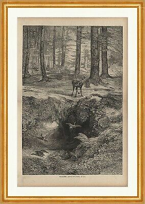 An der Quelle Bodmer Hirsch Ente Wald Teich Moos Bach Laub Holzstich C 0433 - Bild 1 von 1