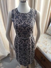 Ann Taylor Gray Ivory Tan Lace Print Sheath Dress Stretch 4 Excellent