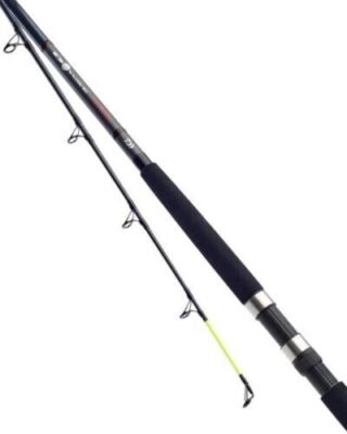 New Daiwa D Wave Uptide Sea Fishing Rod 9'6' / 4-10oz