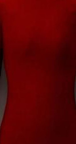 Unisex Full Body Spandex Skin Suit Catsuit Halloween Party Zentai Costumes - Picture 11 of 17