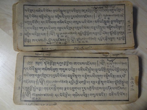ANTICA XILOGRAFIA BUDDISTA TIBETANA MONGOLA MANOSCRITTO ASTROLOGICO COMPLETO - Foto 15 di 20