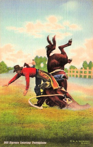 Old Vintage 1920's - RODEO - Western Cowboy POSTCARD - Bulldogging a Stear