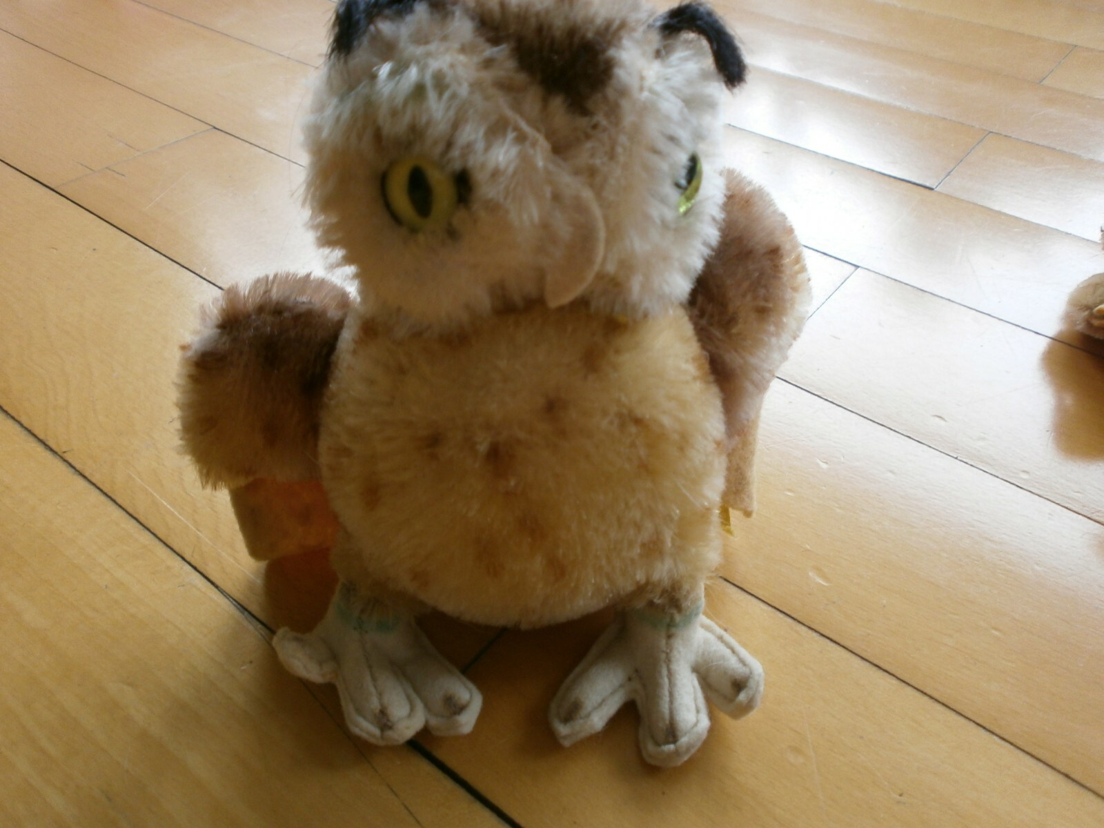 Bild 6 von 12