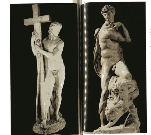 MICHELANGELO THE SCULPTER Eugenio Battisti TPB 1981 - Imagen 2 de 2