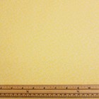 Bild 5 von 33