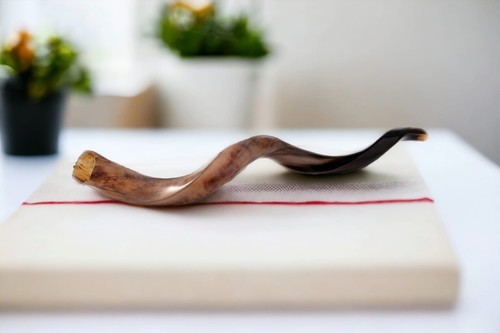 40" GRANDE SHOFAR ebraico FULL POLACCO Yemenita Kudu Horn Sinagoga Israele Tempio - Foto 23 di 24