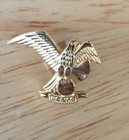 National Rivers Hall of Fame Pin HTF Rare Eagle Holding Or Standing on the Earth — photo 4