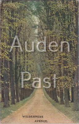 Wilderness Avenue Baum gesäumte Straße Farbe Postkarte