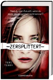 Zersplittert von Terry, Teri | Buch | Zustand sehr gut